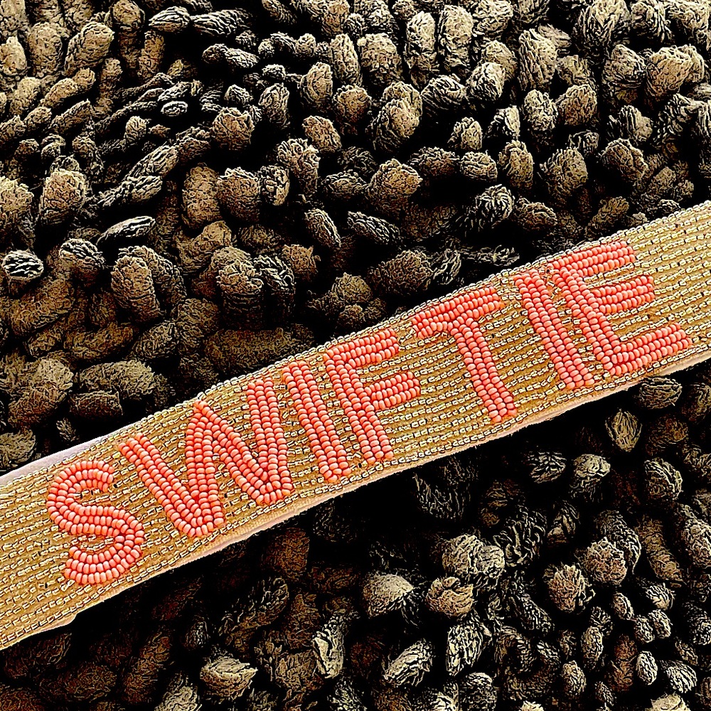 Bash 48” SWIFTIE purse/bag strap
